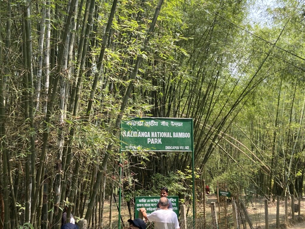 Kaziranga National Bamboo Park, The Kaziranga National Orchid and Biodiversity Park, Assam, North East India.