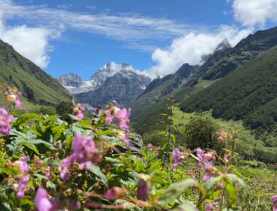 A memorable trip to the beautiful Valley of flowers, Uttarakhand.