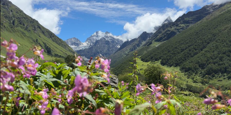 valley of flowers