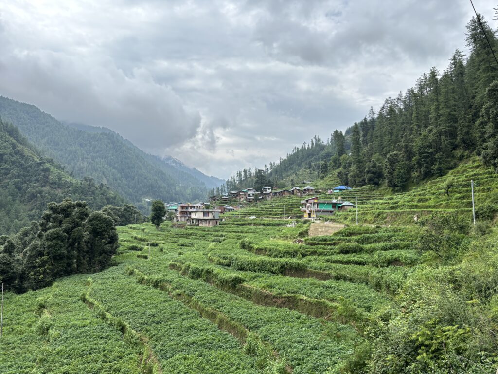 Barot Valley , Himachal Pradesh