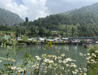 Beautiful hidden valley | Barot Valley | Himachal Pradesh