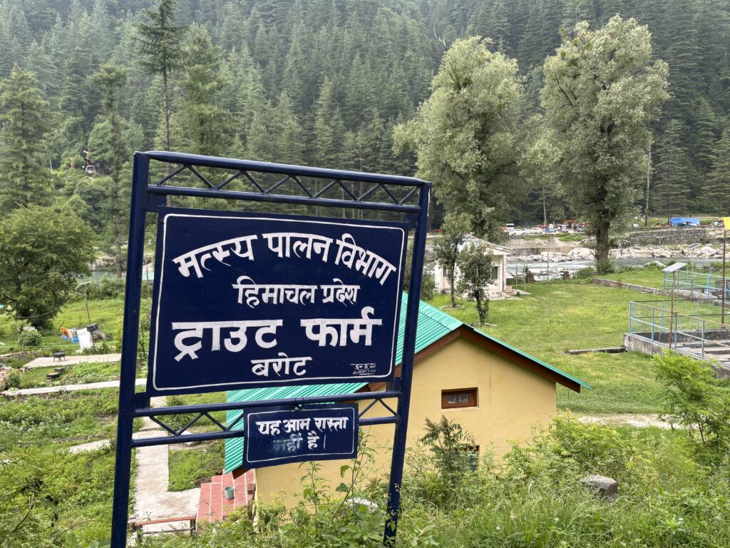 Trout Farm, Barot